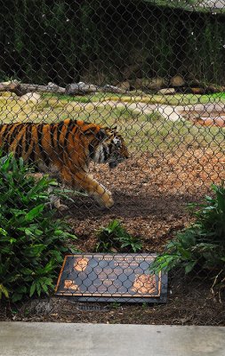 DSC_3325w.jpg