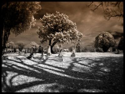 Cemetery Shadows.jpg