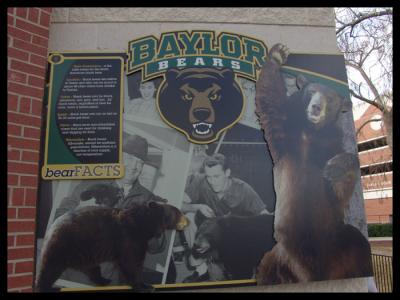 Baylor Bears_02.jpg