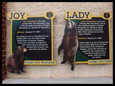 Baylor Bears_03.jpg