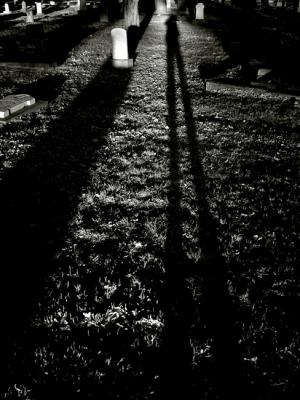 Late Evening Long Shadows.jpg