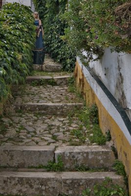 _DSC3617w.jpg