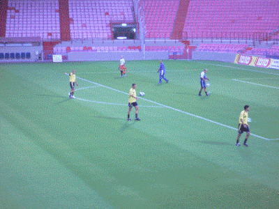 P1020170.gif