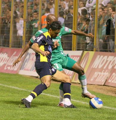pic1.jpg