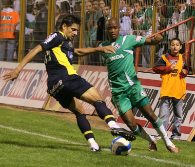 pic2.jpg
