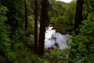 S_DSCF2823.jpg