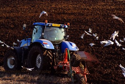 A farmer at work