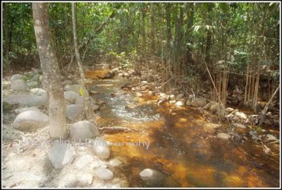 A small stream at Bukit Cerakah (Malaysia)