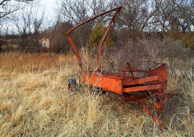 g3/15/32315/3/55161472.005red_wagon.jpg