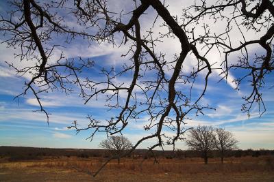 Brushy Creek Backroads