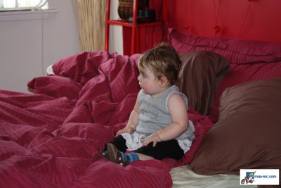 IMG_1518.jpg