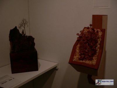 P1220344.jpg