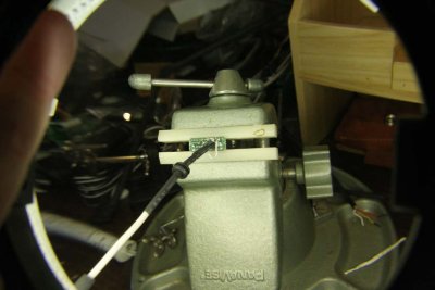 IMG_8699LR.jpg