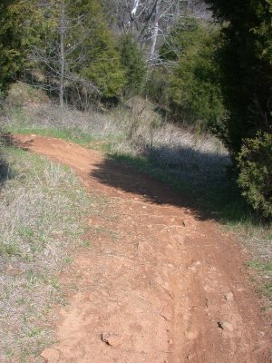 DSCN6091LR.jpg