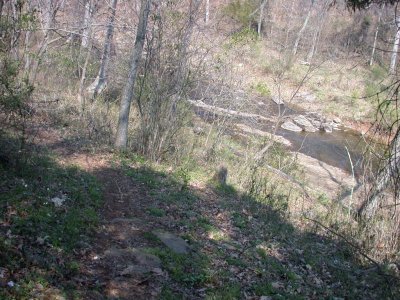 DSCN6094LR.jpg