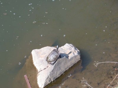 DSCN6098LR.jpg