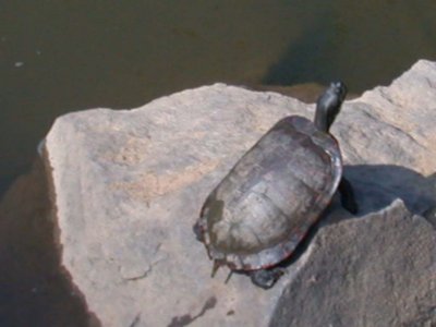 DSCN6099LR.jpg