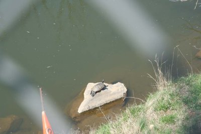 IMG_8006LR.jpg
