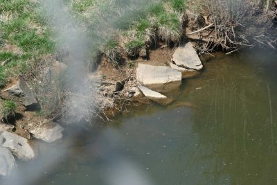 IMG_8007LR.jpg