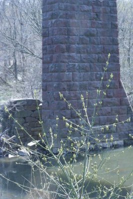 IMG_8016LR.jpg