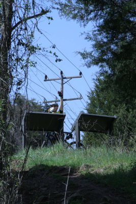 IMG_8020LR.jpg