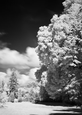 _MG_0742.jpg