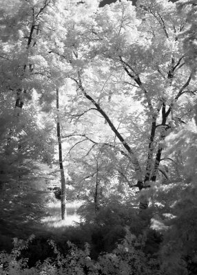 _MG_0749.jpg