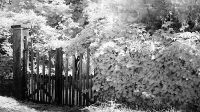 _MG_0754.jpg
