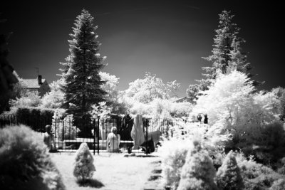 _MG_1032.jpg
