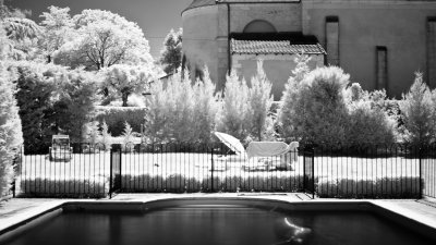 _MG_1036.jpg
