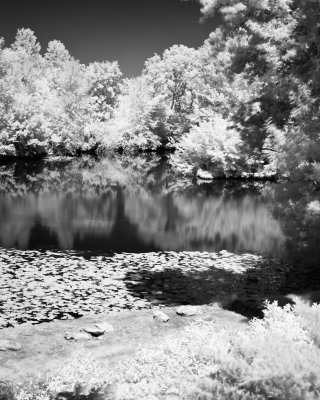 _MG_1040.jpg