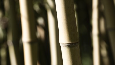 _MG_0870.jpg
