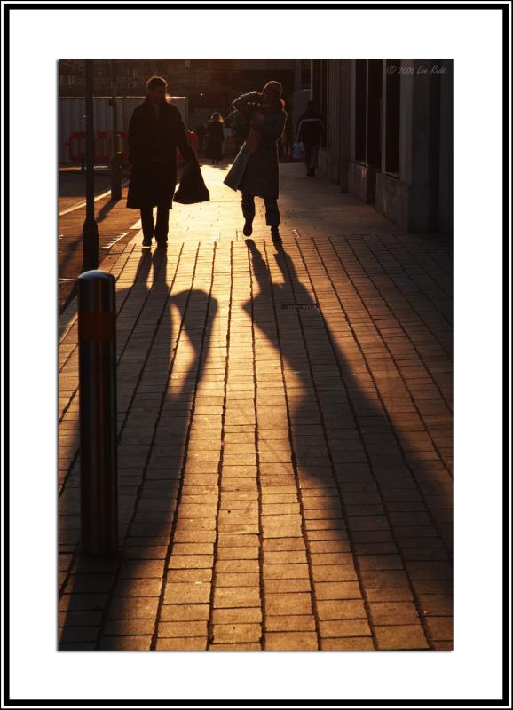 Golden Shadows