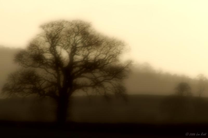 Morning Blur