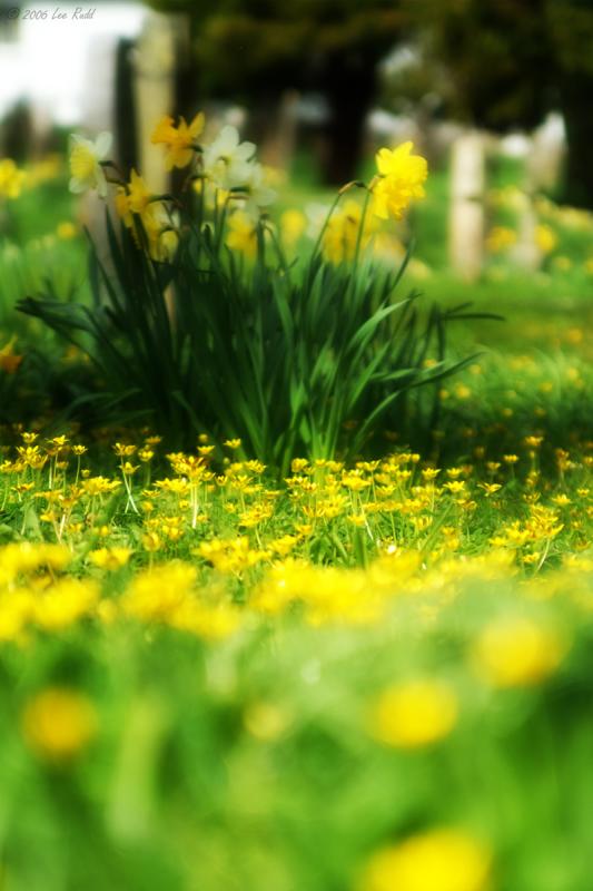 Yellow light