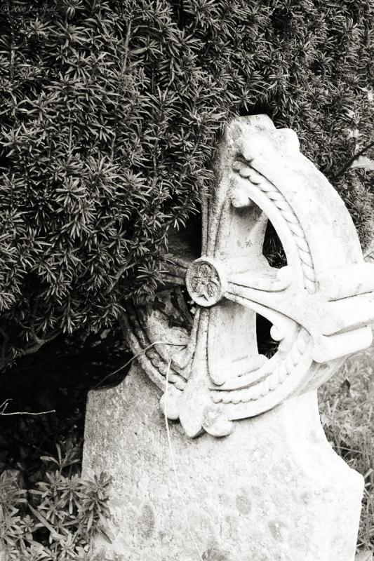 Overgrown