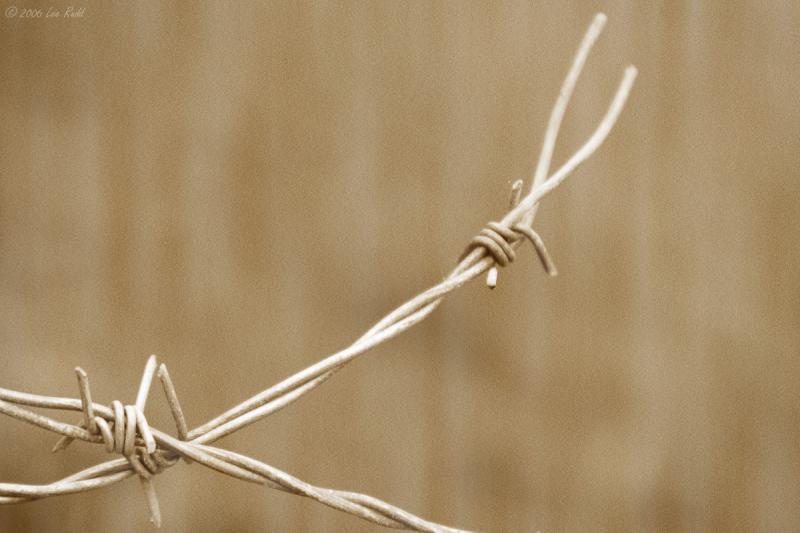 Loose Ends