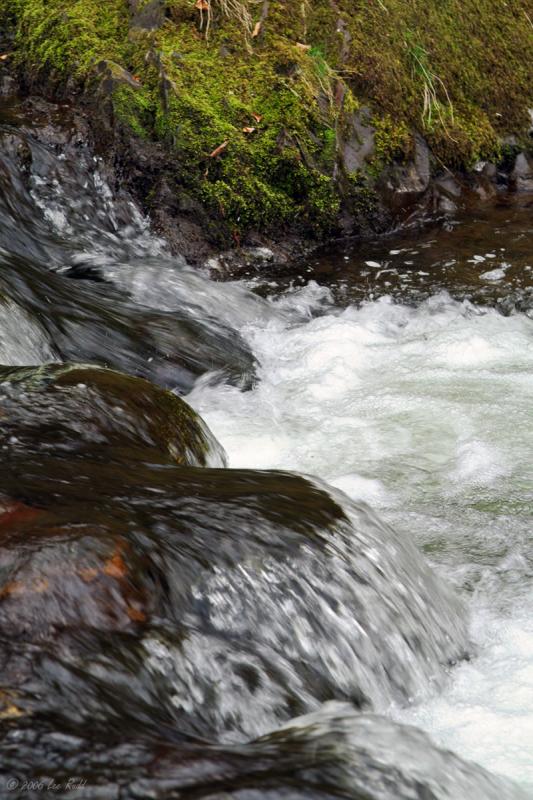 Babbling Brook