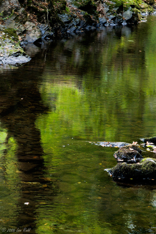 Green Pool