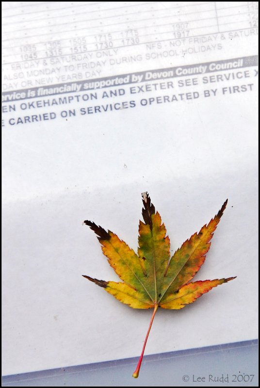 The Leaf now waiting...