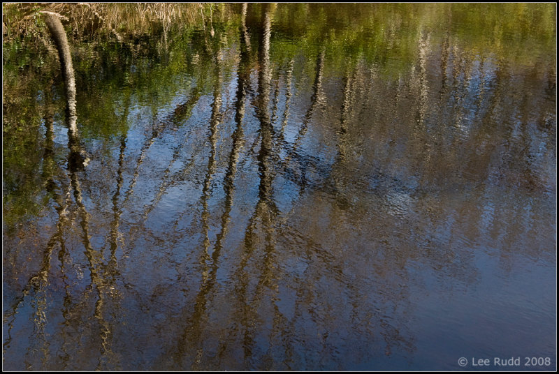Reflection Pool