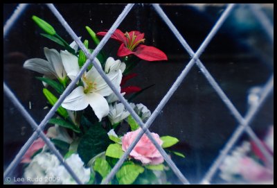 Framed Bouquet