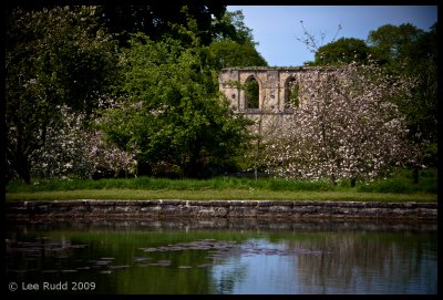 Orchard and Pond