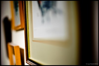 Hanging Gallery