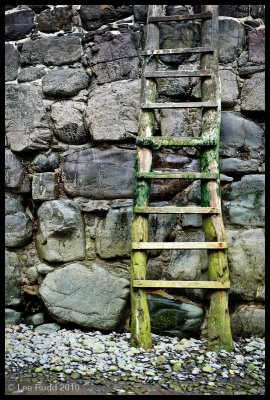 Clovelly Ladder I