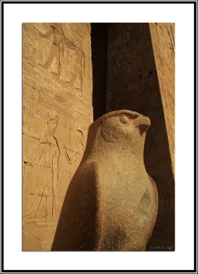 Horus Stands Guard