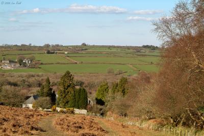 View from Nr Shelstone