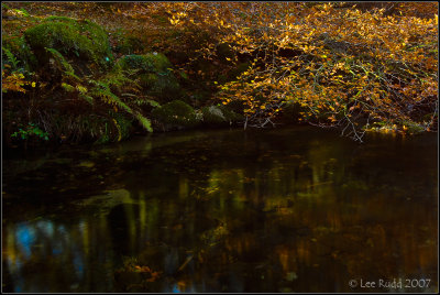 On Golden Pond