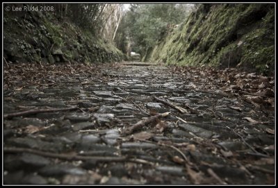 Cobbles and Twigs