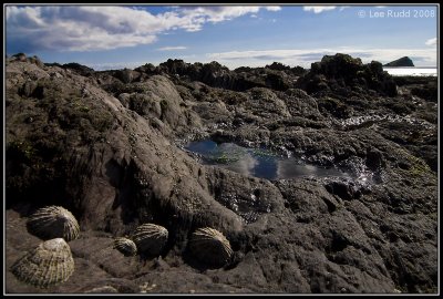 Down Amongst The Limpets